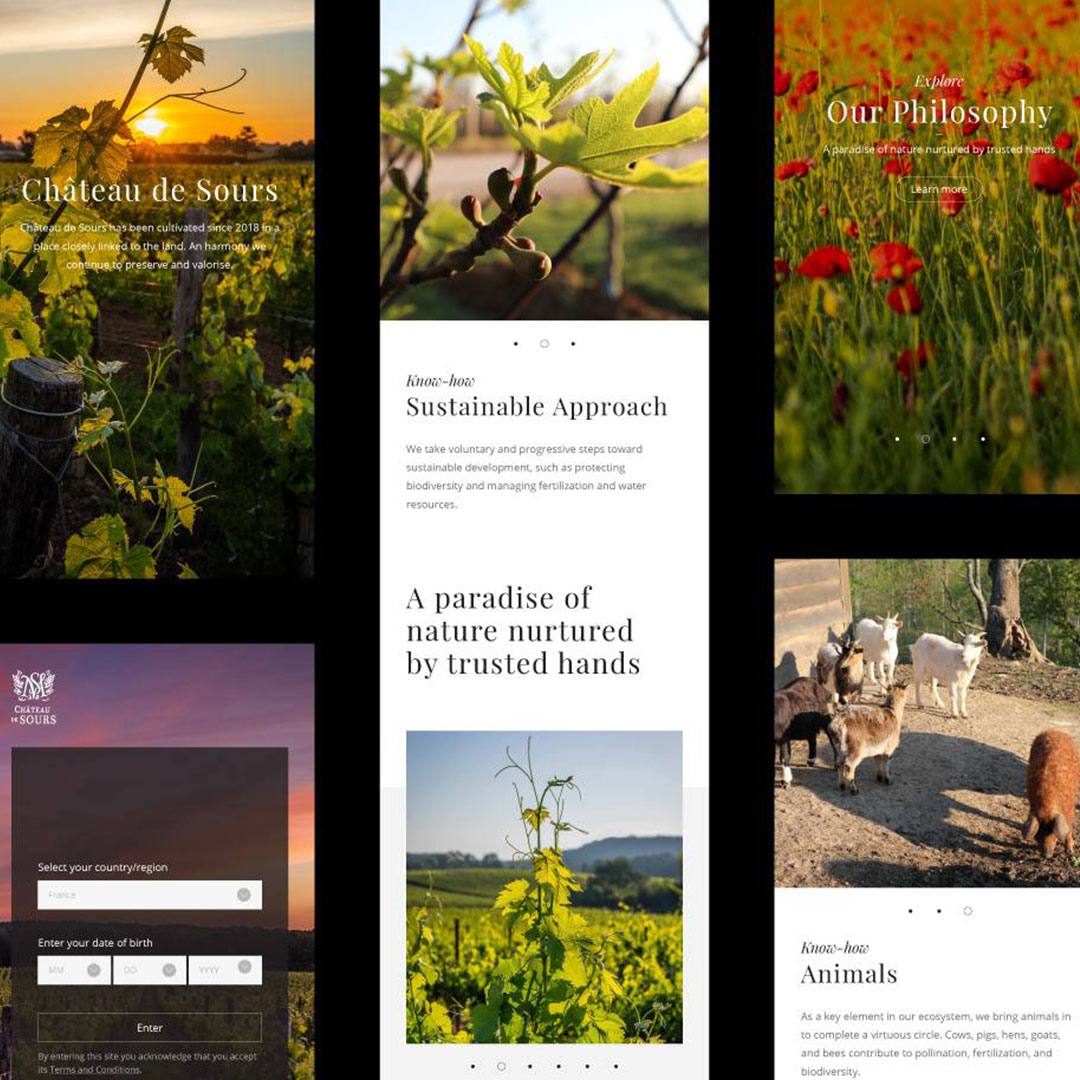 Brand Research for a French Vineyard Château de Sours