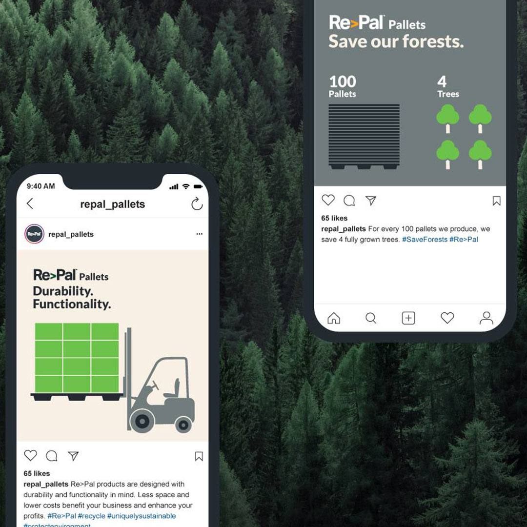 Product Marketing Strategy Developed for Eco Pallet Re>Pal